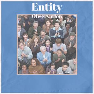 Entity Observation