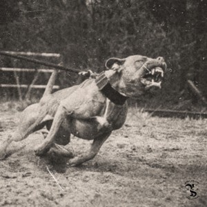 Copenhagen (Explicit)