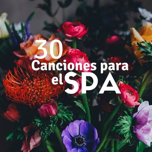 30 Canciones para el Spa: Sonidos de la Naturaleza, Lluvia, Sonidos del Mar, Música para Masajes