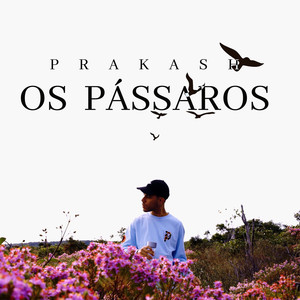 Os Pássaros (Explicit)