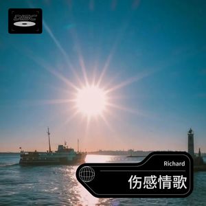 不要在我寂寞的时候说爱我