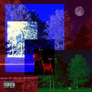 Felt That(feat. Diggy Metro) (Explicit)