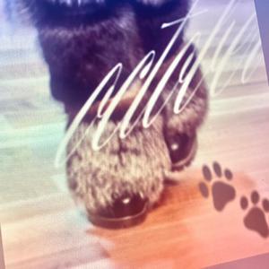 october samples #Autumn (feat. keymoow)