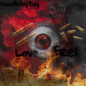 Love feel (Explicit)