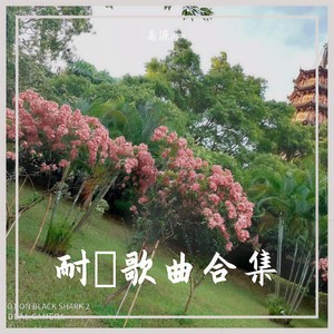 返乡下耕田啦你 (Live)