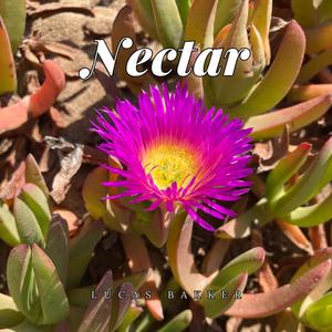 Nectar