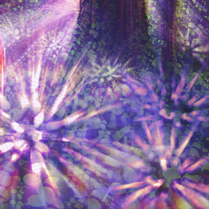 The Condor (Resurrector Remix)