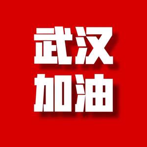 幼稚园杀手-武汉加油 (LG张先森 remix)