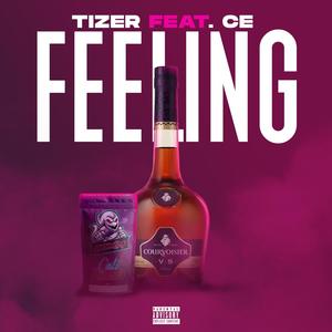 Feeling(feat. CE) (Explicit)