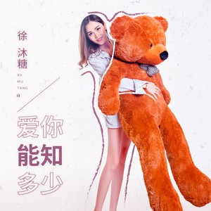 爱你能知多少封面