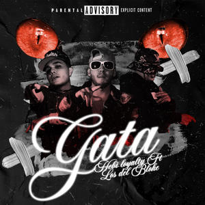 Gata (feat. Los del Bloke) (Explicit)