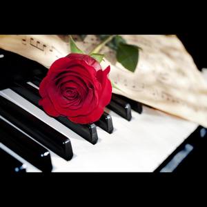 友人 - 遇见-钢琴版