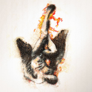 No Baralho o Destino Vai de Houdini à Sakura