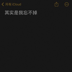其实是我忘不掉