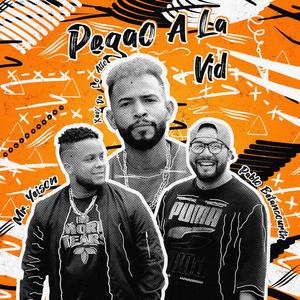 Pegao a la Vid (Remix)