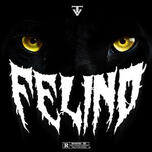 FELINO (Explicit)