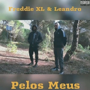 PELOS MEUS(feat. Leandro) (Explicit)