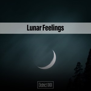 Lunar Feelings District XXIII