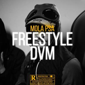 FREESTYLE DVM (MOLA) (Explicit)