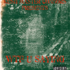 Wtf you saying (feat. Lil windex) (Special Version)