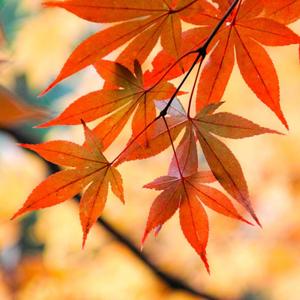 The Beautiful Changes (feat. Zach Moats)