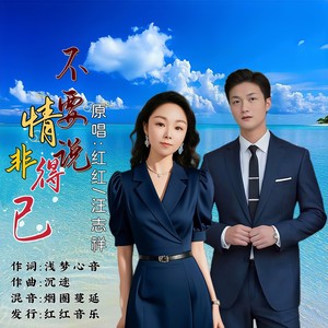 不要说情非得已 (对唱版)