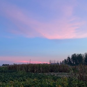 星晴 + 回到过去 + 最后的战役 + 爱我别走-王朝威