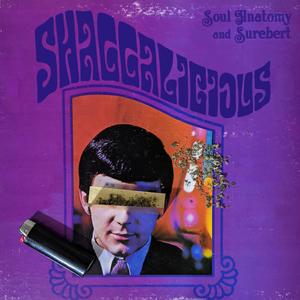 Shaggalicious(feat. Soul Anatomy) (Explicit)