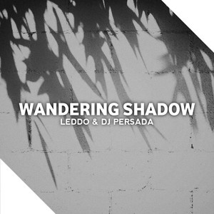 Wandering Shadow