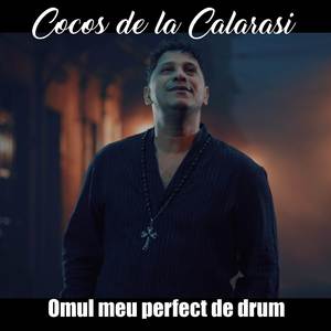 Omul meu perfect de drum