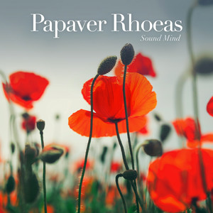 Papaver Rhoeas (Ambient Mix)