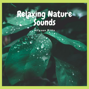 Relaxing Nature Sounds