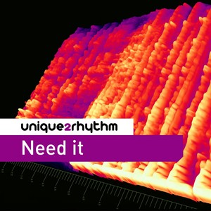 Need It (Damien Gray 'Got It' Mix)