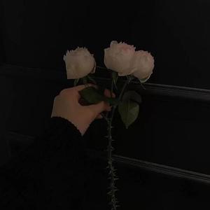 渣男修炼手册 (prod.by xvibe)