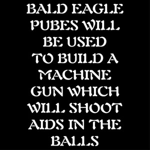 Bald Eagle Pubes Will Be Used to Build a Machine Gun Which Will Shoot Aids in the Balls