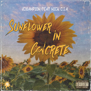 Sunflower in Concrete (Explicit)