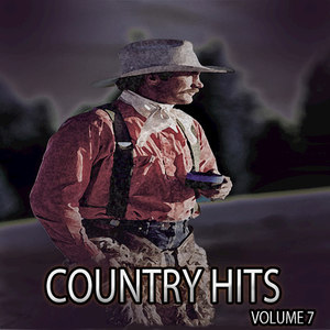 Country Hits, Vol. 7