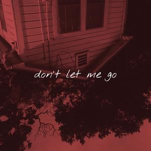 don't let me go (feat. Paige Garner) (Explicit)