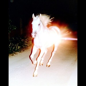 THE MANTRA (Explicit)