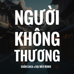 Người Không Thương (Đại Mèo Remix)