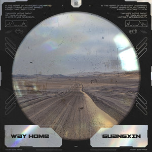 Way Home (Extended Mix)