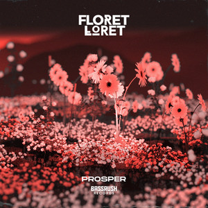 Afterblooms