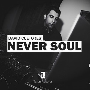 Never Soul (Original Mix)