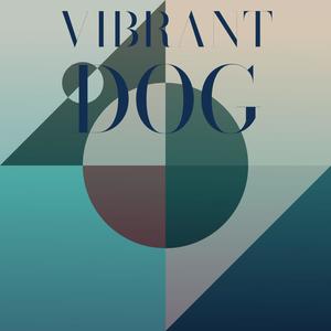 Vibrant Dog