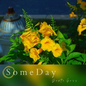 someday - someday