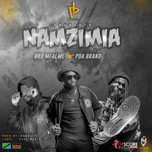 Namzimia (feat. Poa Brand)