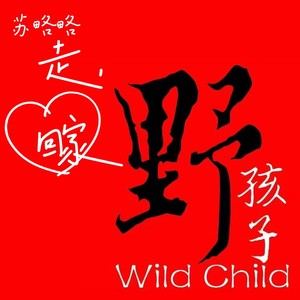 一个叫野孩子的地方