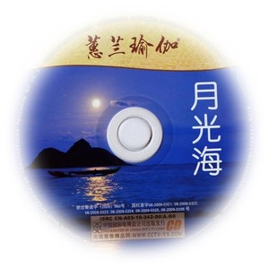 雨林封面