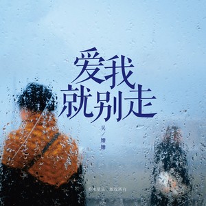 爱我就别走 (伴奏)封面