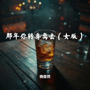 那年你转身离去 (女版)